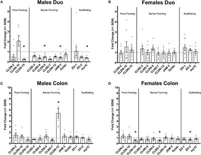 Exploiting the Zonulin Mouse Model to Establish the Role of Primary Impaired Gut Barrier Function on Microbiota Composition and Immune Profiles